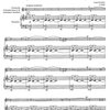 Sluka: D-S-C-H per clarinetto basso e pianoforte / basový klarinet a klavír