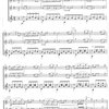 Nejkrásnější valčíky - Johann Strauss     dva nástroje ladění C a kytara