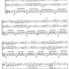 Nejkrásnější valčíky - Johann Strauss     dva nástroje ladění C a kytara