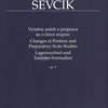 Otakar Ševčík - Opus 8, Výměny poloh a průprava ke cvičení stupnic