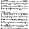 Spielbuch für Trompete und Klavier 1 / 20 skladeb klasické hudby pro trumpetu a klavír