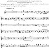 GRADE 3 - 15 Popular Practice Pieces + Audio Online / housle