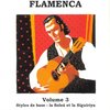 TRAITE DE GUITARE FLAMENCA 3 + CD / kytara + tabulatura