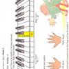 Progressive Piano - Method for  Young Beginners 1 + Audio Online