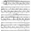 MUSETTE FESTIVAL 3 for Accordion - solo, duo or ensemble / akordeon