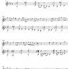 Stará francouzská hudba / zobcová flétna ( příčná flétna, housle) + kytara