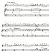 STAMITZ: Koncert G Dur op.29 / příčná flétna a klavír