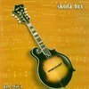 Bluegrasová mandolína - škola hry + CD