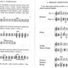 Praktická příručka pro kytaristy - akordy, hmaty, taneční rytmy