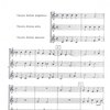 Editio Bärenreiter Hlohovská sbírka (1480) -  pro tři zobcové flétny (SAT) nebo tři nástroje stejného ladění