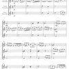Morning from &quot;Peer Gynt&quot; Suite by E. Grieg / trio (soubor) zobcových fléten (SAT)