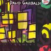 The Funky Beat by David Garibaldi + 2x CD drums