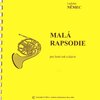MALÁ RAPSODIE - Ladislav Němec / lesní roh (f horn) a klavír