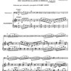 Vivaldi: Concerto in La Minore, F. III, No. 18 / violoncello a klavír