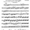 Vivaldi: Concerto in La Minore, F. III, No. 18 / violoncello a klavír