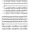Kopetzki: Saholyx / soubor bicích nástrojů (4-6 hudebníků)