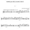 Český rozhlas Dřevikovský: SUITIČKA pro altový saxofon ( klarinet) + klavír