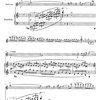 Variace na cikánskou melodii pro housle (violu) a klavír - Adam Skoumal
