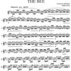 THE BEE by Francois Schubert / zobcová flétna a klavír