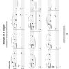 The Willis Music Company FIRST MOZART - 15 skladbiček pro začínající klavíristy