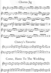 300 FIDDLE TUNES       housle