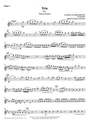 Beethoven: TRIO for Three Flutes /  skladba pro tři příčné flétny