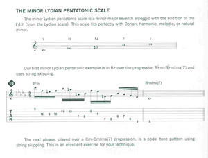 ADVANCED SCALE CONCEPTS AND LICKS FOR GUITAR + CD / kytara + tabulatura