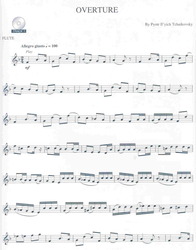 TCHAIKOVSKY - The Nutcracker + CD / příčná flétna