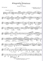 CONCERT &amp; CONTEST COLLECTIONS + Audio Online / klarinet a klavír (PDF)