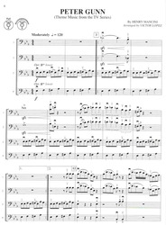 FLEX-ABILITY POPS / violoncello/bass