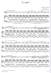 Saint-Saens: The Swan (Labuť) / violoncello a klavír