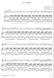 Saint-Saëns: The Swan (Labuť) / housle a klavír