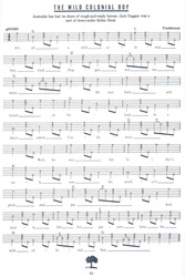 The Banjo Player's Songbook (over 200 great songs) / banjo + tabulatura