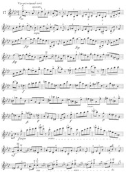 24 Caprices for Violin by J.P. Rode / housle