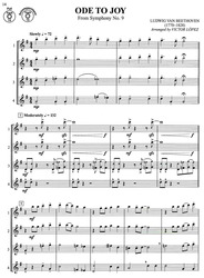 FLEX-ABILITY CLASSICS / tenor saxofon