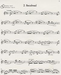 BIG BEATS - SMOOTH GROOVE + CD / alto saxofon