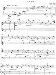 ROMANTIC PIANO ANTHOLOGY 2 + CD / sólo klavír
