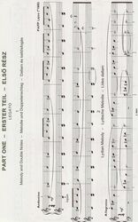 STARTING THE PIANO by Papp Lajos