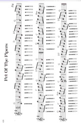 Tinwhistle Songbook Deluxe - Irish Music &amp; Ballads
