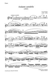 Vilém Blodek: Andante cantabile, Allegro di bravura Op. 2 / příčná flétna a klavír