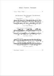 Brahms: Three Intermezzi op.117 (urtext) / sólo klavír