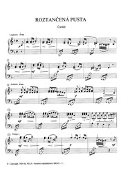 ROZTANČENÁ PUSTA - Ladislav Němec - cimbál solo