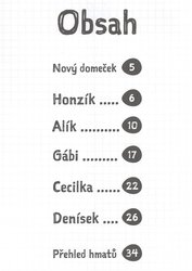 BAREVNÁ FLÉTNIČKA - pracovní sešit pro děti od 4 do 7 let