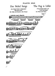 Nielsen: The Fog is Lifting op.41 / příčná flétna a klavír (harfa)