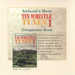 110 Tin Whistle Tunes Volume 1 - 2x CD (jen CD bez zpěvníku)