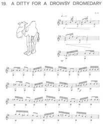 GUITAR TRIPPER by Cees Hartog - jednoduché skladby pro 1 nebo 2 kytary