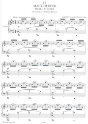 12 malých etud - Klement Slavický / klavír