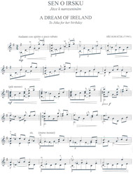 SEN O IRSKU - Jiří Horáček - kytara