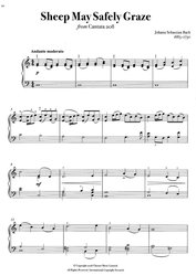 Everybody&apos;s Favorite: Easy Piano Pieces / oblíbené skladby klasické hudby ve snadné úpravě pro klavír (modrý sešit)