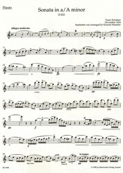 SCHUBERT: Sonata in A minor D821 (ARPEGGIONE) pro příčnou flétnu a klavír
